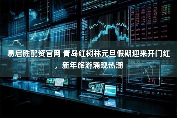 易启胜配资官网 青岛红树林元旦假期迎来开门红，新年旅游涌现热潮
