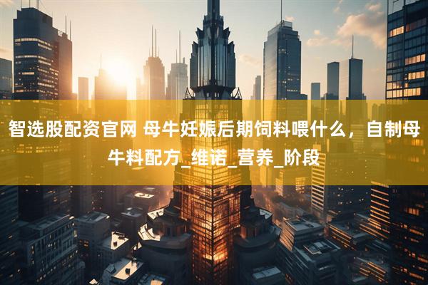 智选股配资官网 母牛妊娠后期饲料喂什么，自制母牛料配方_维诺_营养_阶段